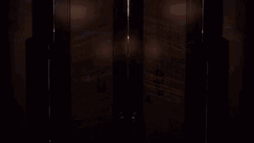 a woman in a black dress is standing in a dark room looking at the camera .