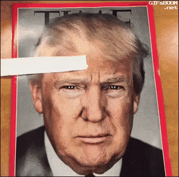 Lolol Too Perfect GIF - Donald Trump Dealwithit GIFs