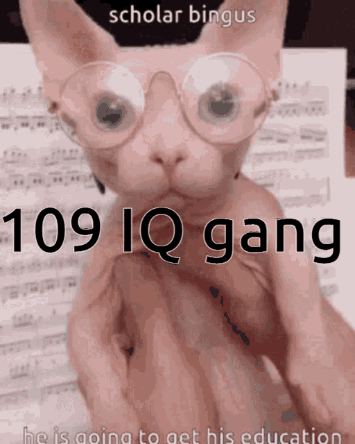 109 Iq GIF - 109 Iq Gang GIFs