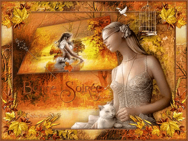 a painting of a woman with a cat and the words bonne soiree on the bottom
