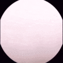 a white circle with a black circle in the middle