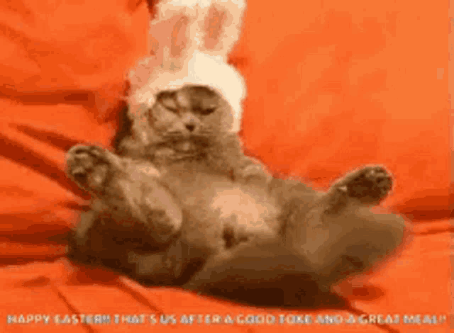 a cat is wearing a bunny hat and laying on its back on a bed .