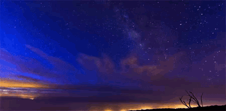 a night sky filled with lots of stars and a tree in the foreground