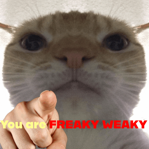 a cat pointing at someone with the words " you are freaky weaky " in red