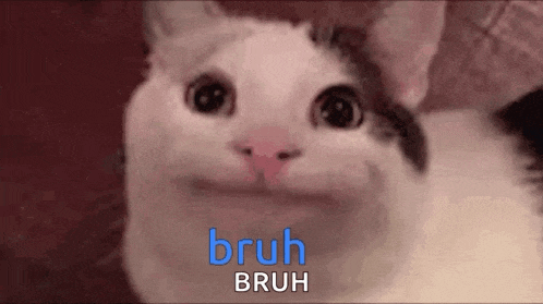 a close up of a cat 's face with the words bruh bruh written in blue .