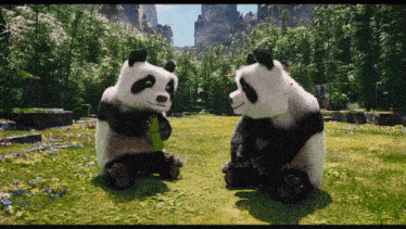two panda bears are sitting in a grassy field looking at each other