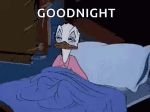 Good Night Donald Duck GIF - Good Night Donald Duck Looney Toons GIFs