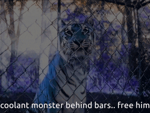 a tiger behind bars with the words coolant monster behind bars free him below it