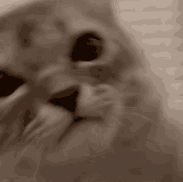 a close up of a cat 's face in a sepia tone .