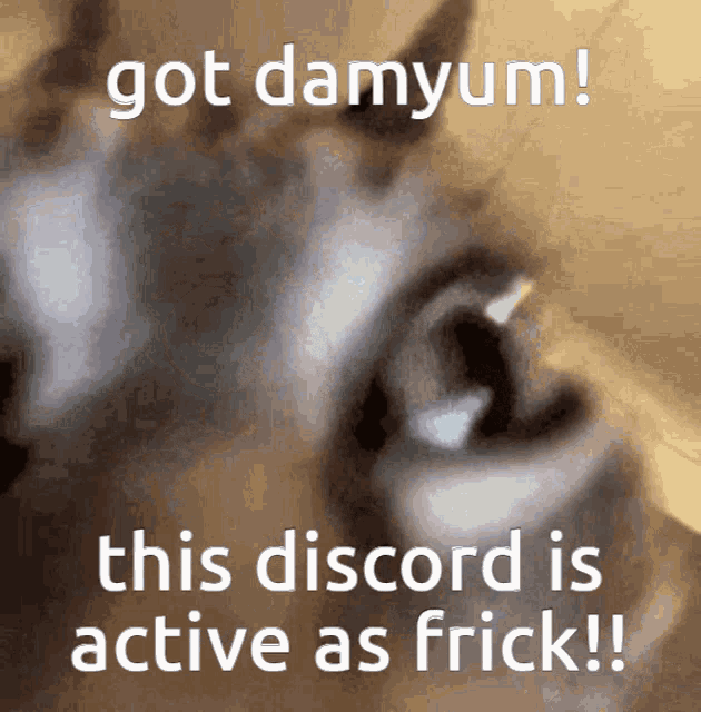 Discord Discord Active GIF - Discord Discord Active Muunjuice GIFs