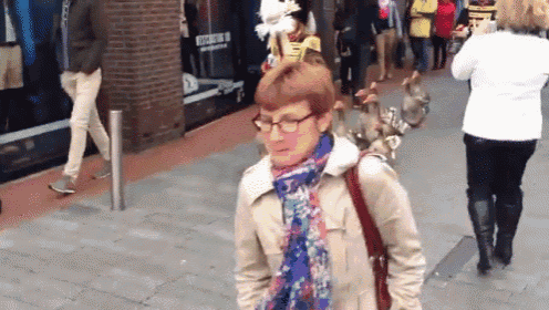 Goose Marching Band GIF - Goose Geese Marching GIFs