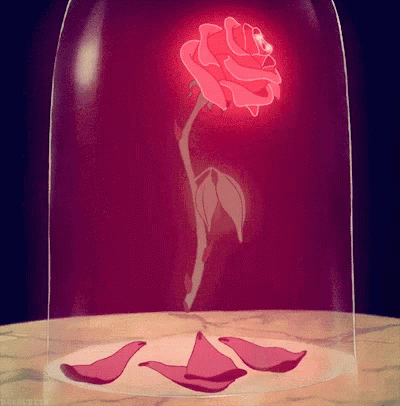 She Loves Me She Loves Me Not GIF - She Loves Me She Loves Me Not Beauty And The Beast GIFs