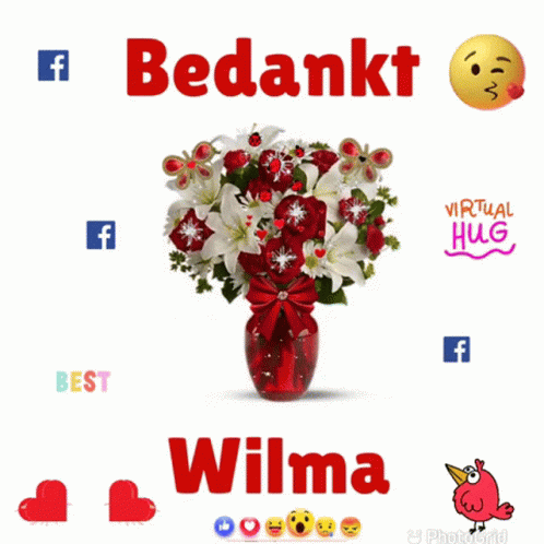 Wilma Bedankt GIF - Wilma Bedankt GIFs