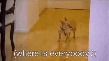 Looking Where Is Everybody GIF - Looking Where Is Everybody Dog GIFs