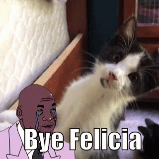 Kitties Bye Felicia GIF - Kitties Bye Felicia GIFs