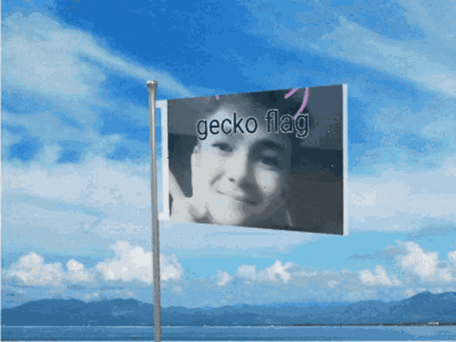 a gecko flag with a picture of a young boy on it
