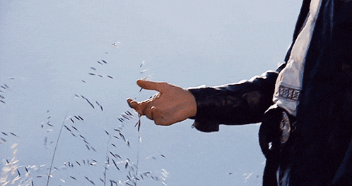 a police officer 's hand is reaching out to touch some grass