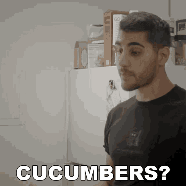 Cucumbers Rudy Ayoub GIF - Cucumbers Rudy Ayoub Is This A Cucumber GIFs