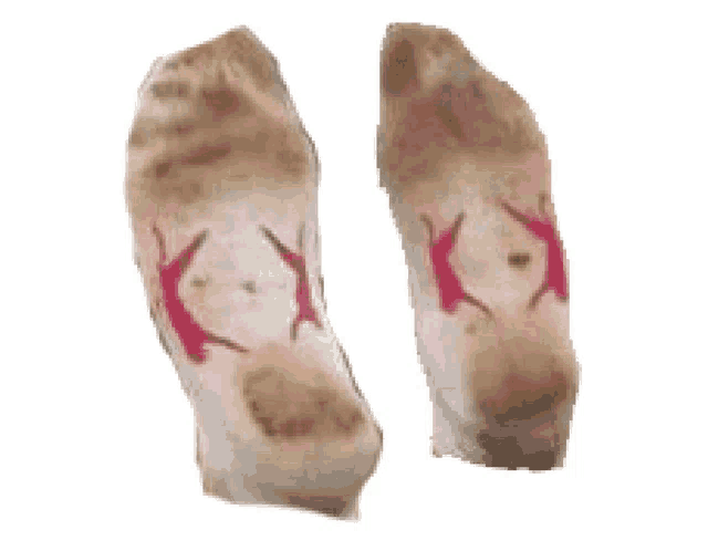 a pair of dirty socks with red xs on them