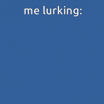 a picture of a plane flying through the air with the caption me lurking