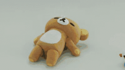 a brown teddy bear is laying down next to a small white duck with blue wheels