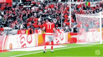a soccer player with the number 17 on his jersey stands on the field