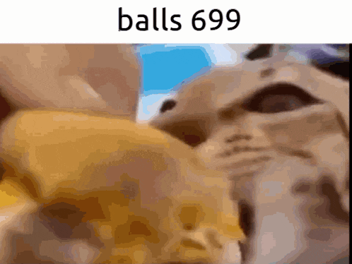 a close up of a person 's face with the words balls 698 written on it