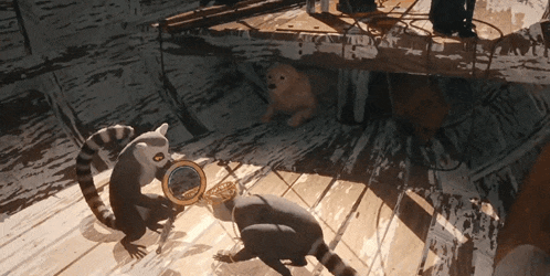 two lemurs are looking through a magnifying glass on a wooden floor