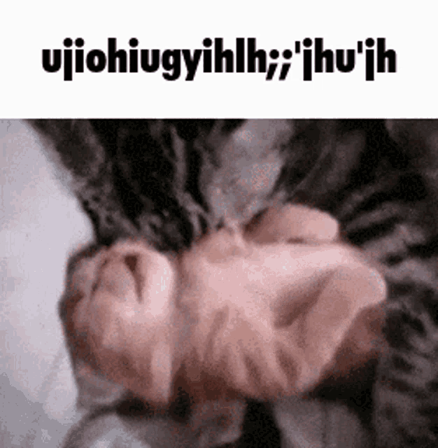 a cat is laying on its back on a bed with a caption that says ujiohiugyiih