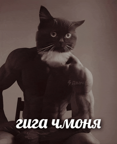 a black and white photo of a cat with a man 's muscles and the word giga on the bottom right