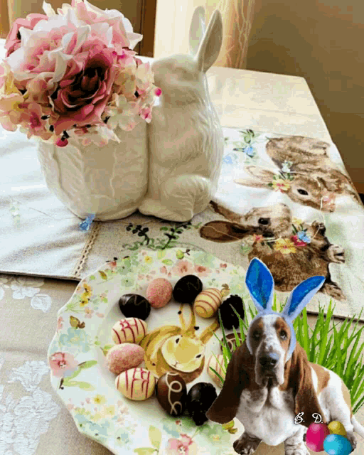 a basset hound wearing bunny ears sits on a table