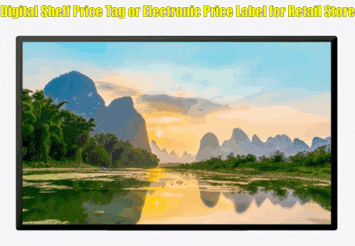 a digital shelf price tag or electronic price label for retail store with a picture of a river