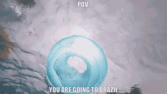 Brazil You Are Going To Brazil GIF - Brazil You Are Going To Brazil Going To Brazil GIFs