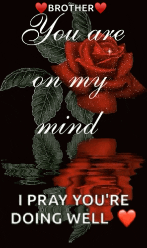 a red rose with the words brother you are on my mind