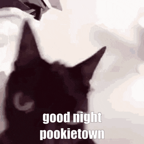 Pookietown Kitty GIF - Pookietown Kitty Good Night GIFs