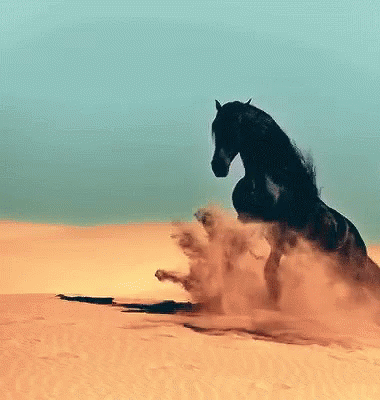 Horse Majestic GIF - Horse Majestic Desert GIFs
