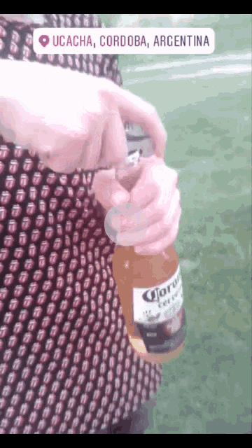 Birra GIF - Birra GIFs