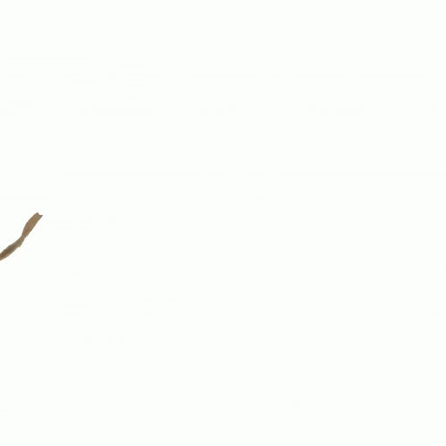 a drawing of a monkey 's head on a tree branch