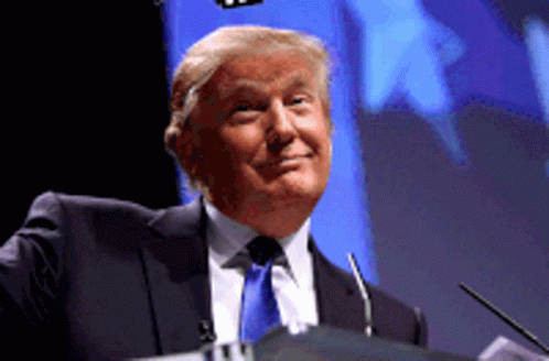 Trump Glasses GIF - Trump Glasses No GIFs