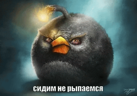 a drawing of an angry bird with the words sam spratt written below it