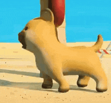 a cartoon dog is walking on a beach near a pool .