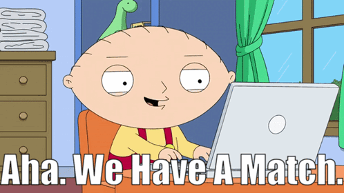 Family Guy Stewie Griffin GIF - Family Guy Stewie Griffin We Have A Match GIFs