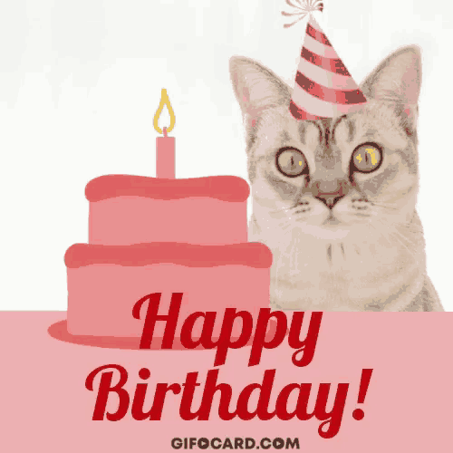 a cat wearing a party hat stands in front of a birthday cake