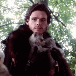 Rob Stark Dire Wolf GIF - Rob Stark Dire Wolf Game Of Thrones GIFs