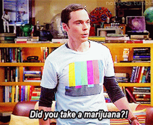 Sheldon Big Bang Theory GIF - Sheldon Big Bang Theory Are You On Drugs GIFs