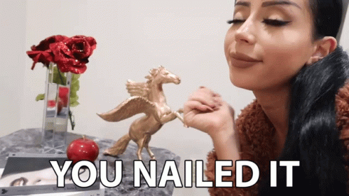 You Nailed It You Did It GIF - You Nailed It You Did It Well Done GIFs