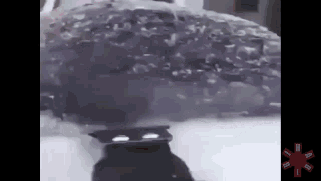 a red hot chili peppers logo can be seen in the corner of a video