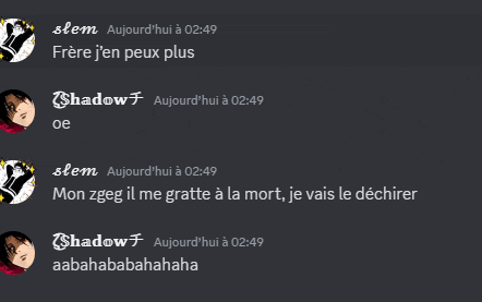 a screenshot of a discord conversation between shadow and elem