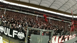 Eintracht Frankfurt Sge GIF - Eintracht Frankfurt Sge Eintracht GIFs