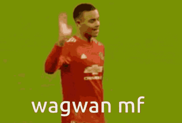 a soccer player with the number 11 on his jersey is walking on a field .